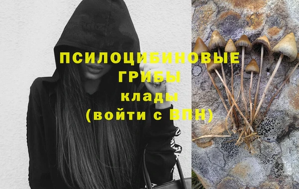 хмурый Костерёво