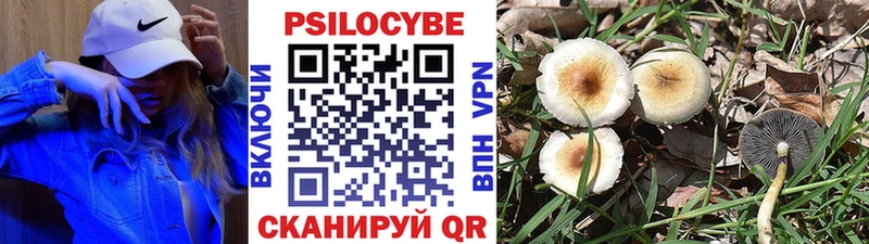 Галлюциногенные грибы мицелий  Серпухов 